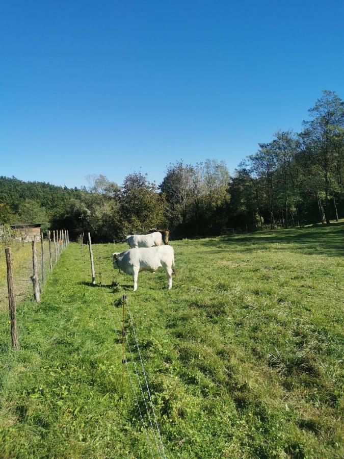 Apartma Baladur Brezovica pri Gradinu Exterior foto